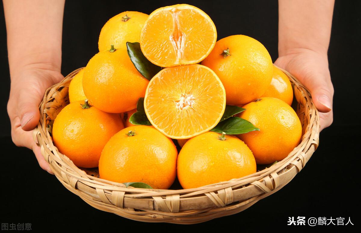 果冻橙是橙子还是橘子（果冻橙和普通橙子有什么区别）-8