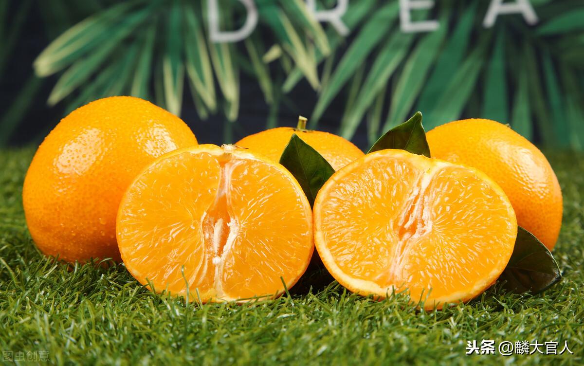 果冻橙是橙子还是橘子（果冻橙和普通橙子有什么区别）-7