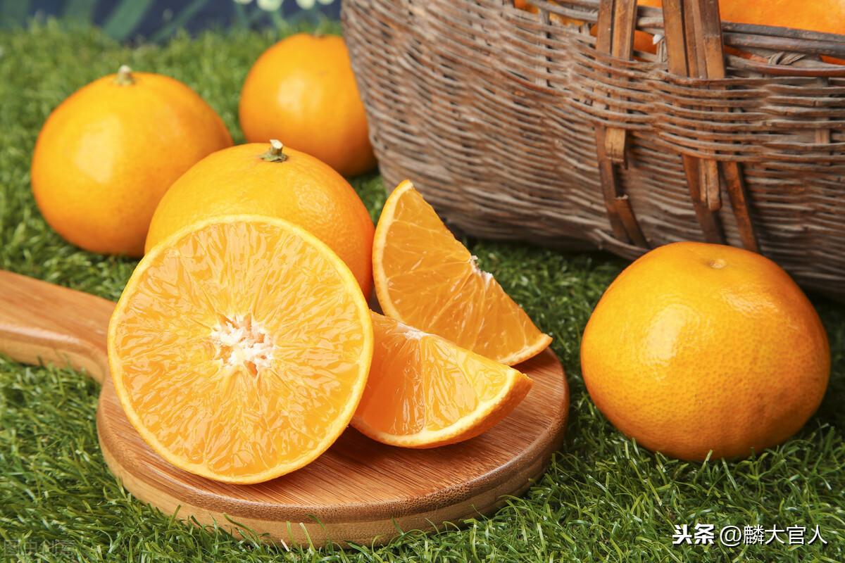 果冻橙是橙子还是橘子（果冻橙和普通橙子有什么区别）-10