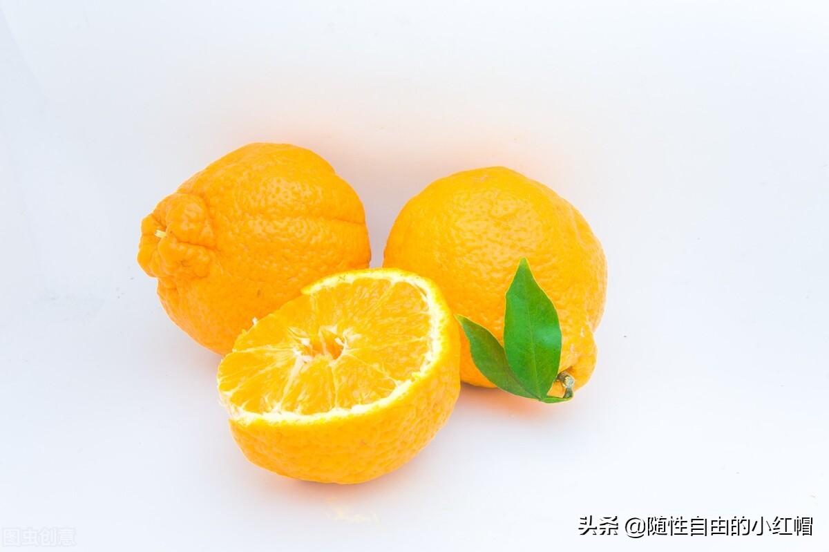 橙子可以放多久（新鲜橙子的保存窍门）-8