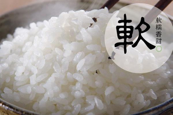 五常大米是籼米还是粳米（五常大米是杂交水稻吗）-1