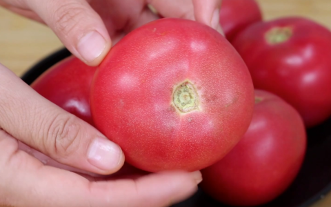 西红柿分公母吗？如何辨别？（冷知识）