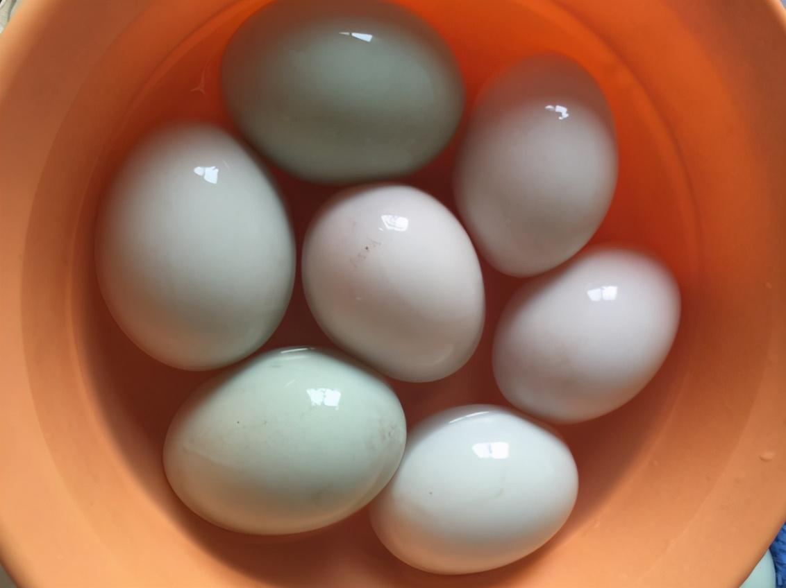 咸鸭蛋放冰箱能放多久（咸鸭蛋的保存方法）-4