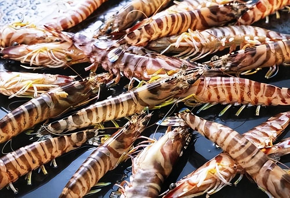 基围虾属于海鲜类吗（大明虾和基围虾的区别）-3