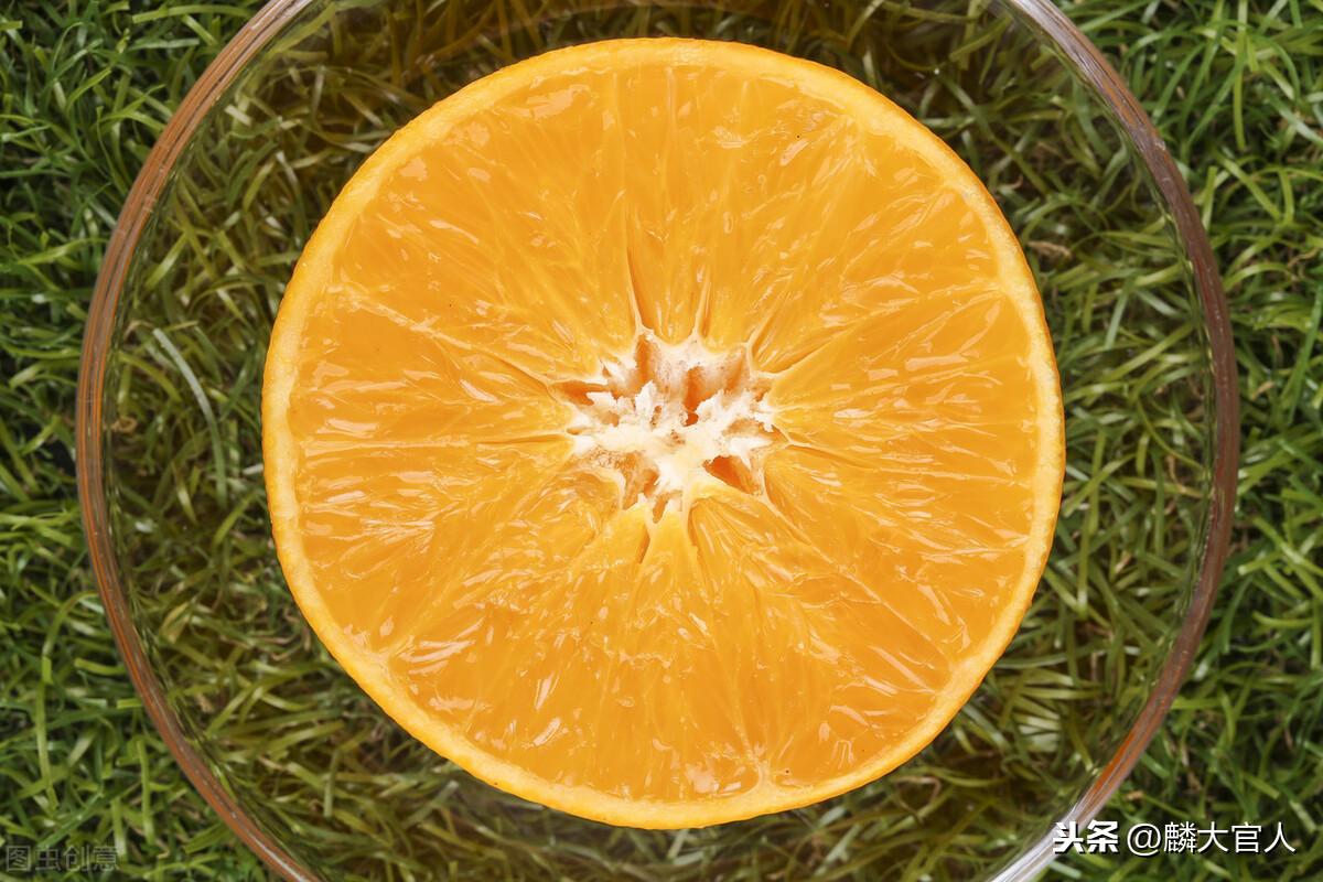 果冻橙是橙子还是橘子（果冻橙和普通橙子有什么区别）-4