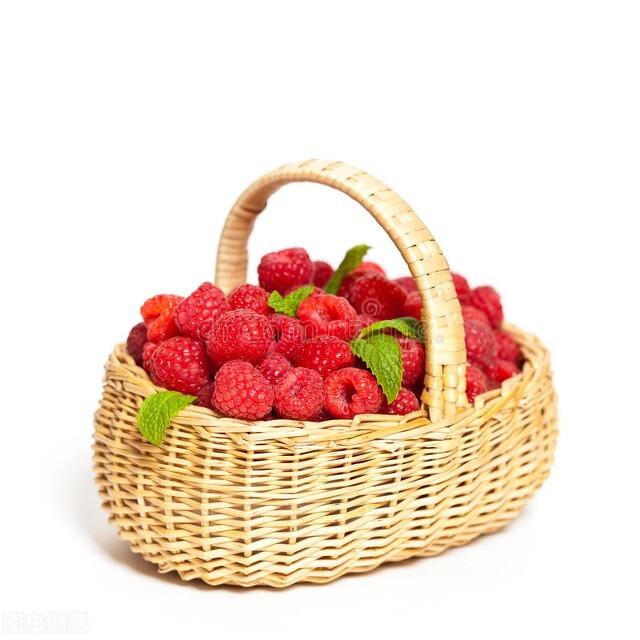 树莓是什么水果（牛奶泡是什么植物）-15