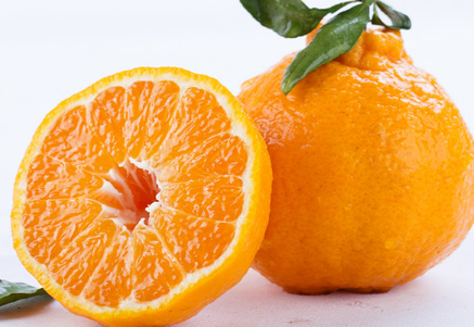 丑橘成熟的季节是几月（丑柑什么时候成熟上市）-1