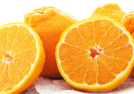 丑橘成熟的季节是几月（丑柑什么时候成熟上市）-2