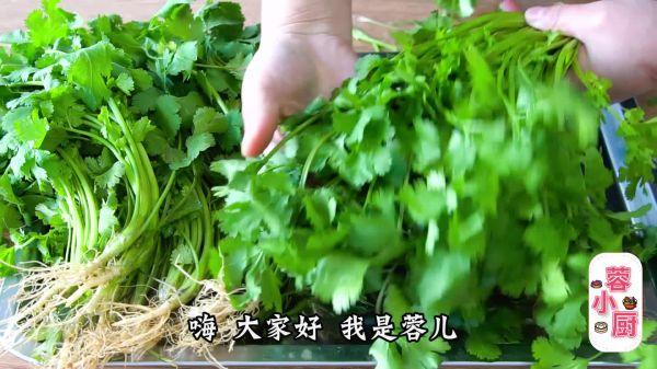 香菜可以冷冻保存吗（香菜的保存方法）-1