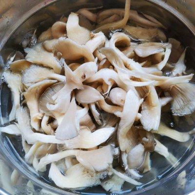 蘑菇焯水需要多长时间（炒蘑菇的家常做法）-3