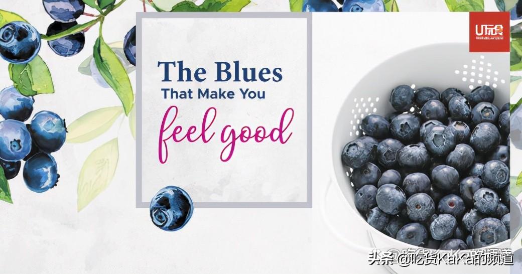 蓝莓保质期可以放多久（蓝莓可以冷冻长期保存吗）-1