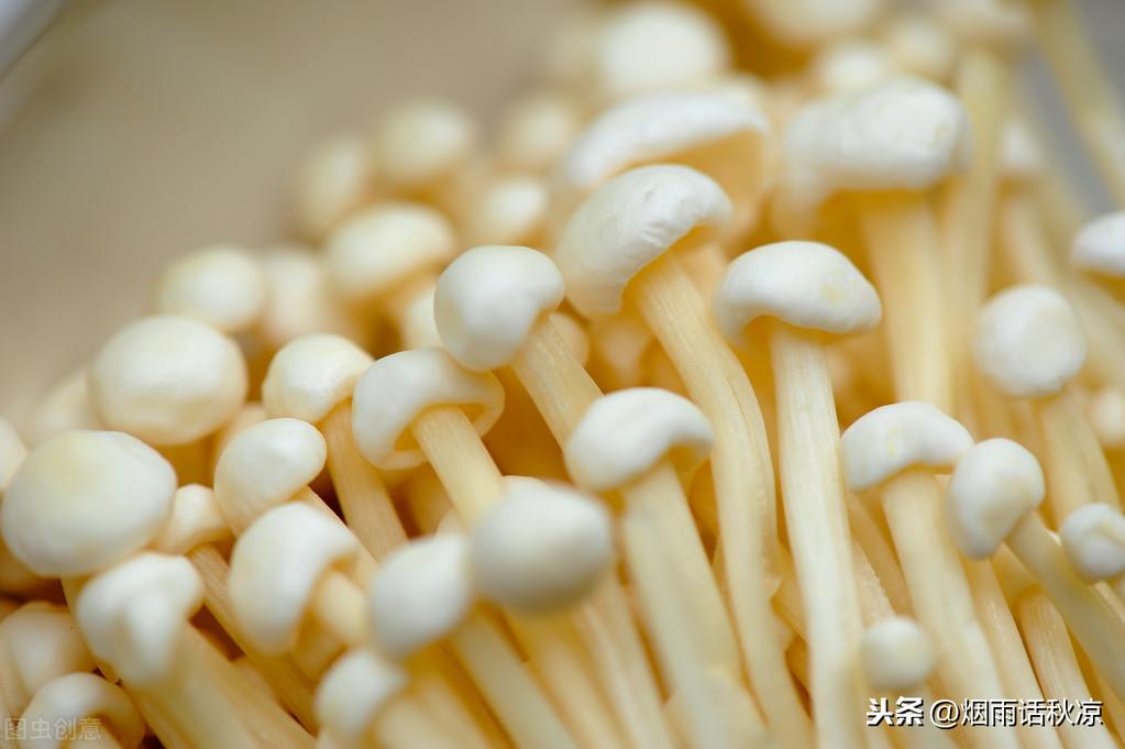 金针菇怎么保存新鲜不烂（金针菇的家常保鲜方法）-4