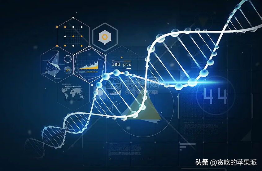 鱼子酱多少钱一斤（珍馐鱼子酱价格分析）-9