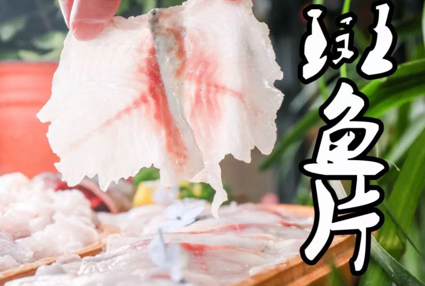 斑鱼火锅的斑鱼是什么鱼（石斑鱼的做法分享）-2