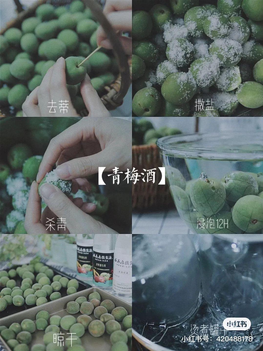 嘉宝果泡酒与冰糖的比例（水果泡酒的万能公式）-10