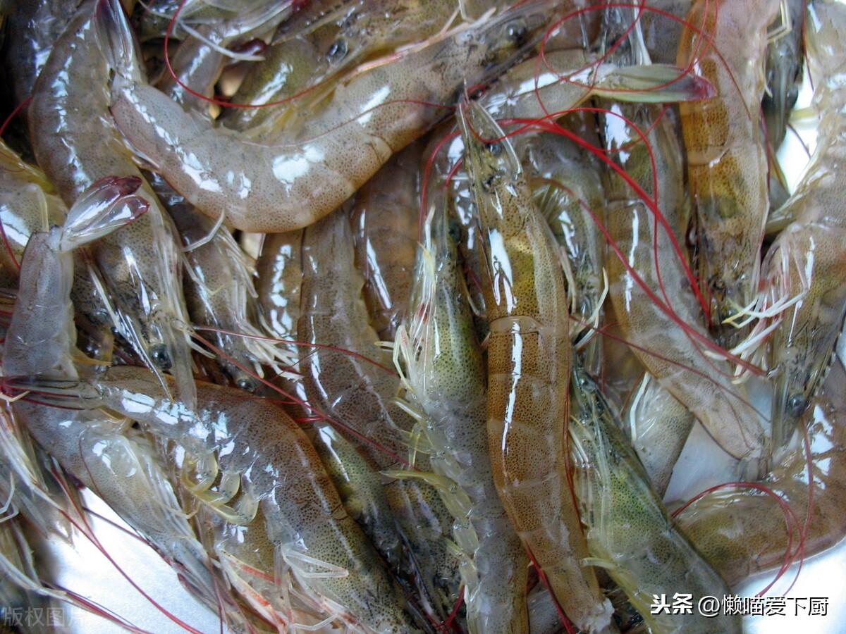 对虾和基围虾哪个好吃（市场上卖的基围虾是海虾吗）-3