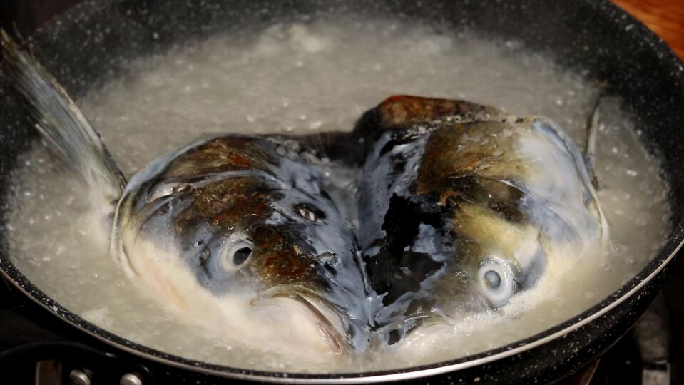 煮鱼汤用热水还是冷水（如何炖鱼汤不腥）-5