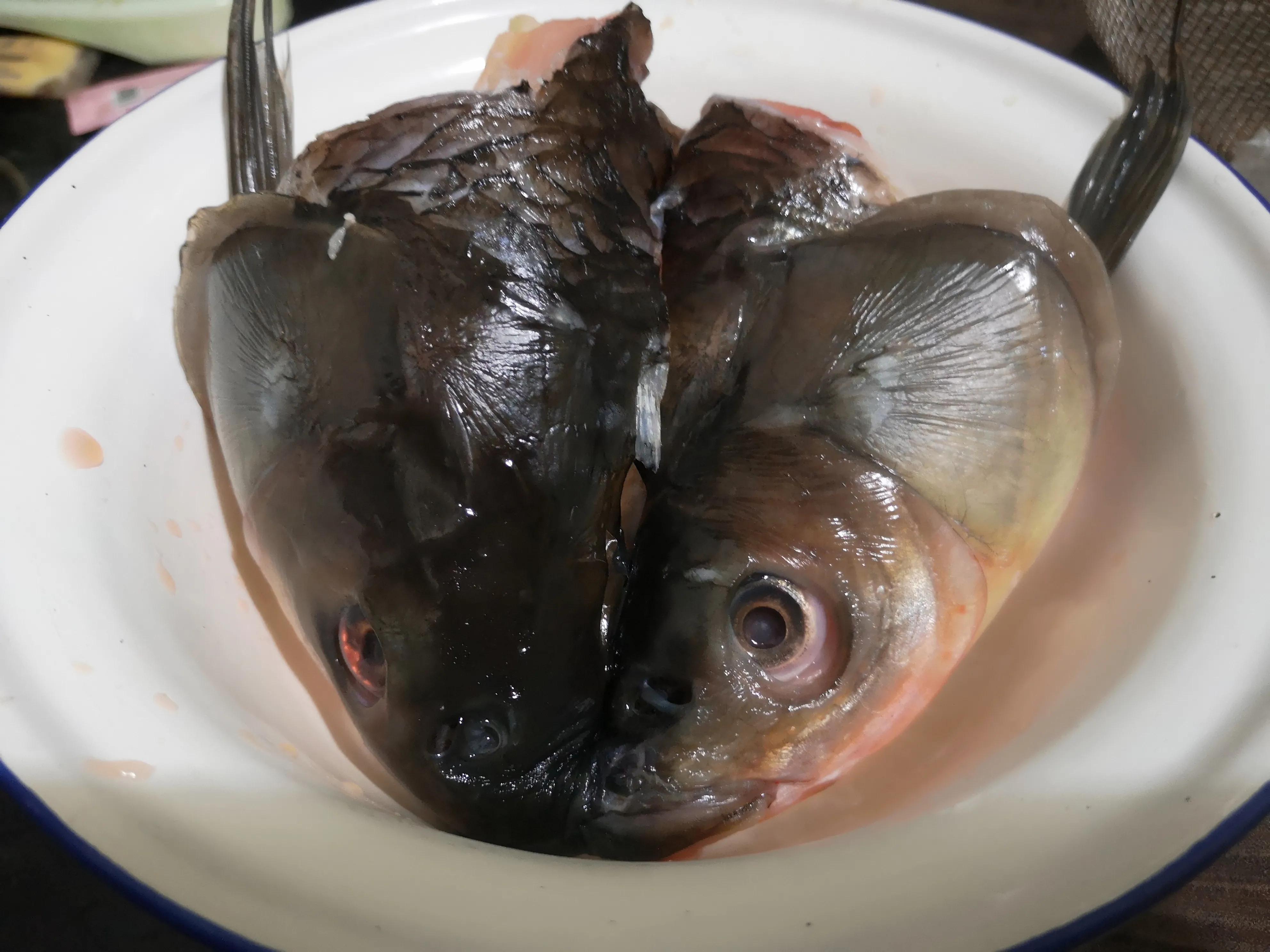 红烧鱼头的做法简单又好吃_正宗的红烧鱼头的做法教程-3