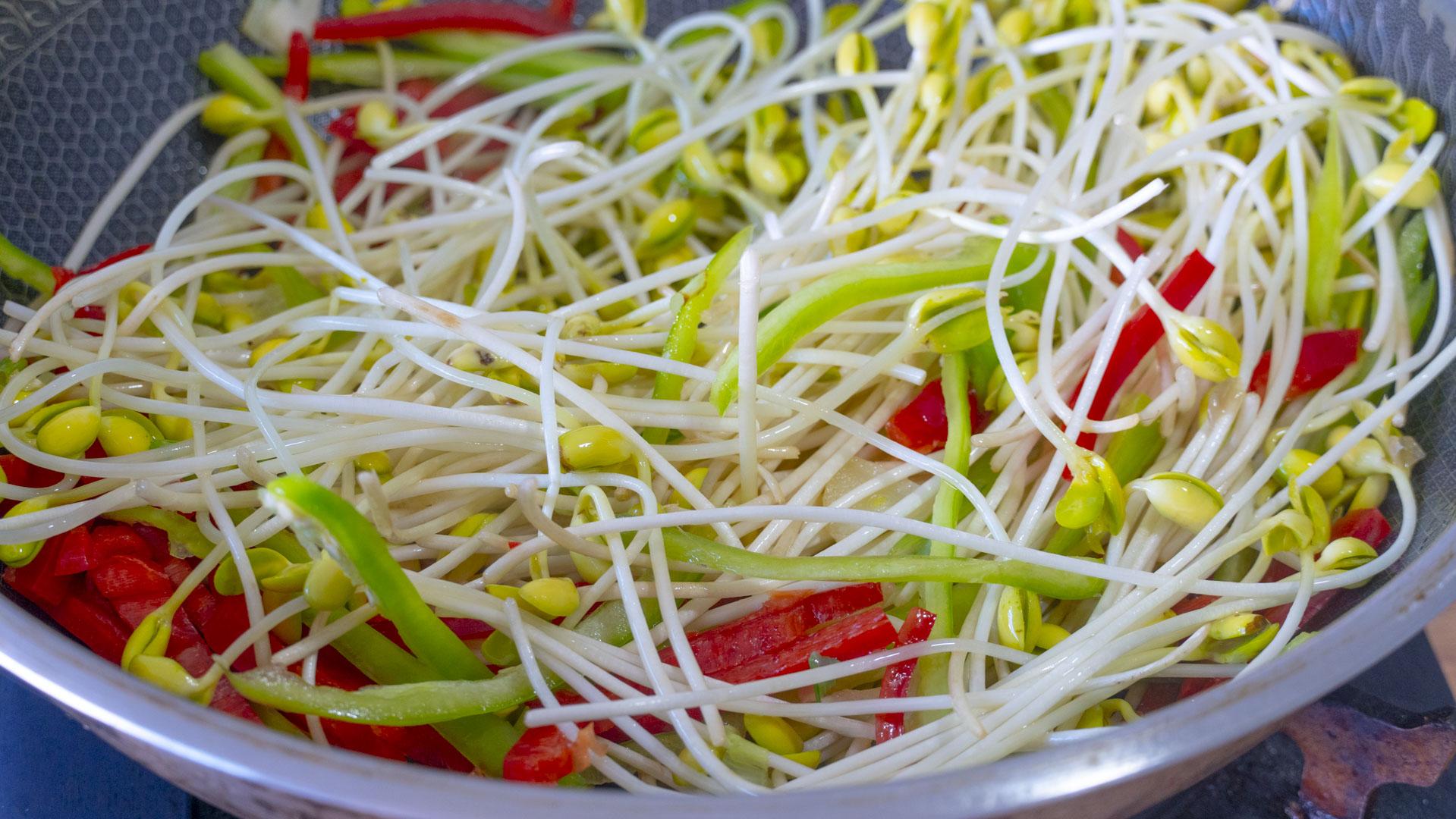 自制黄豆芽不烂最简单的方法 制作豆芽的方法和过程-8