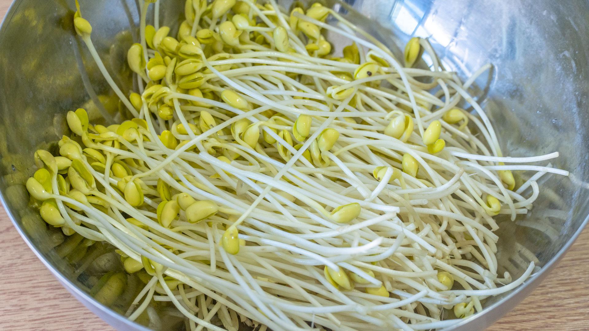 自制黄豆芽不烂最简单的方法 制作豆芽的方法和过程-11