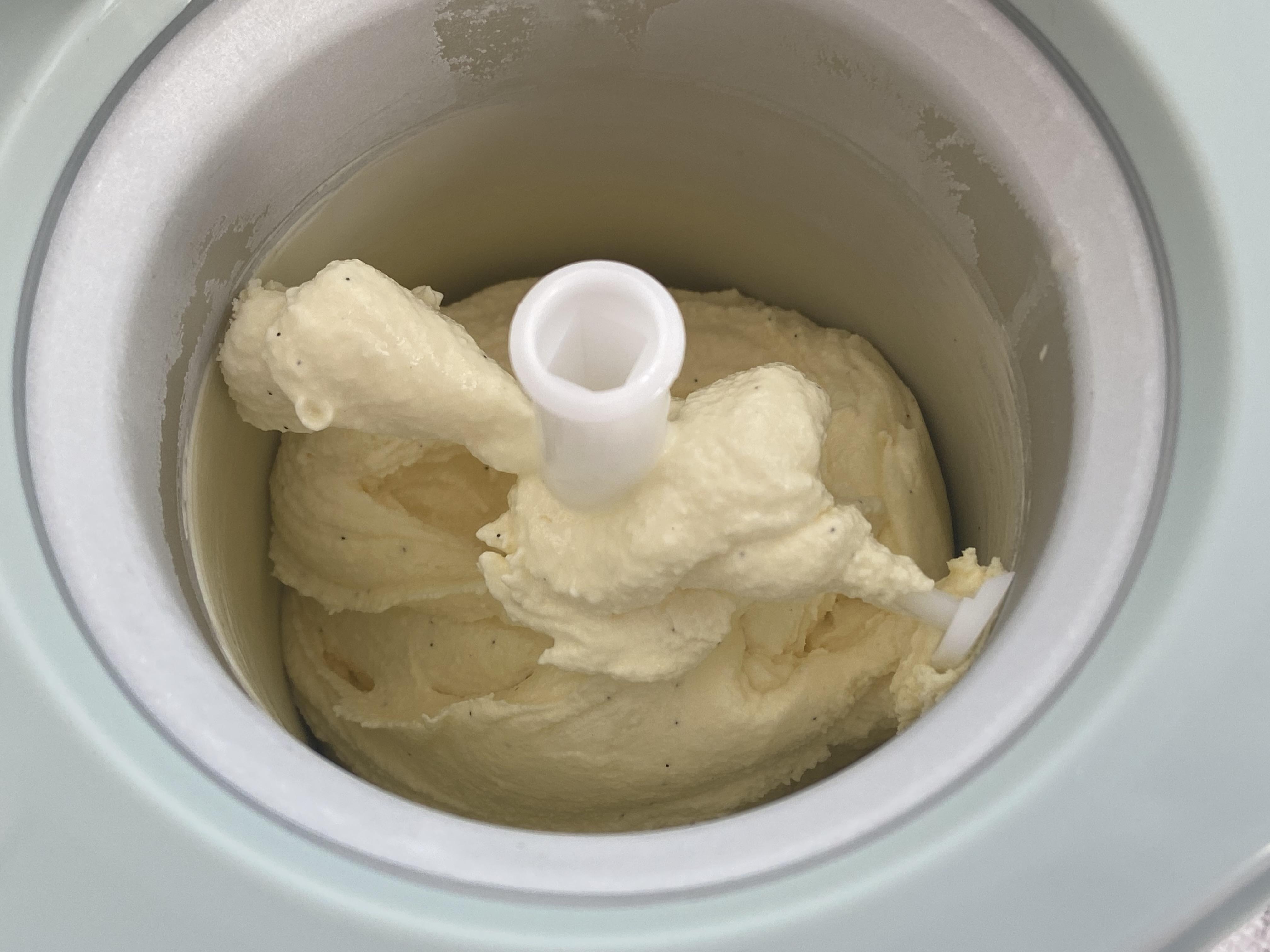 香草冰淇淋的做法和配方_用纯牛奶做雪糕最简单的方法-8