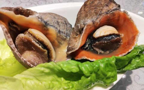海螺的做法煮多长时间（海螺的做法和吃法）