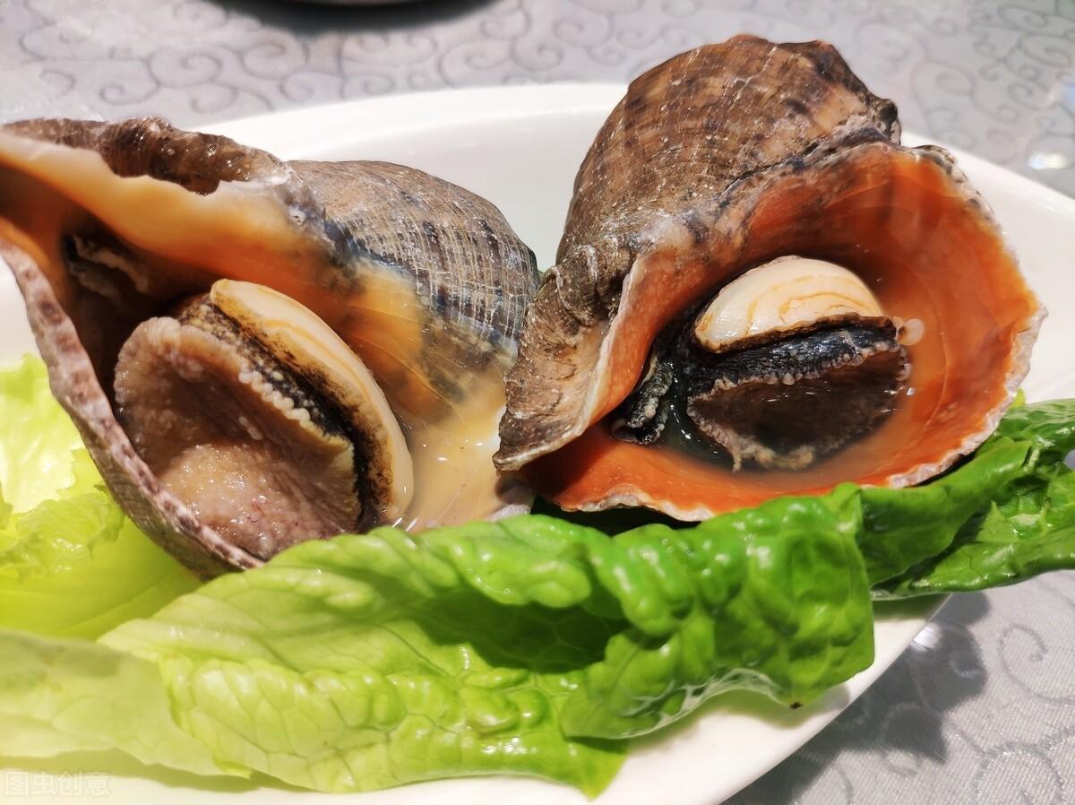 海螺的做法煮多长时间（海螺的做法和吃法）-1