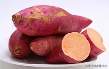 煮红薯和蒸红薯的区别（煮红薯的正确方法）-2