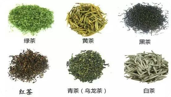 铁观音茶叶是红茶还是绿茶（铁观音茶叶是绿茶吗）-3