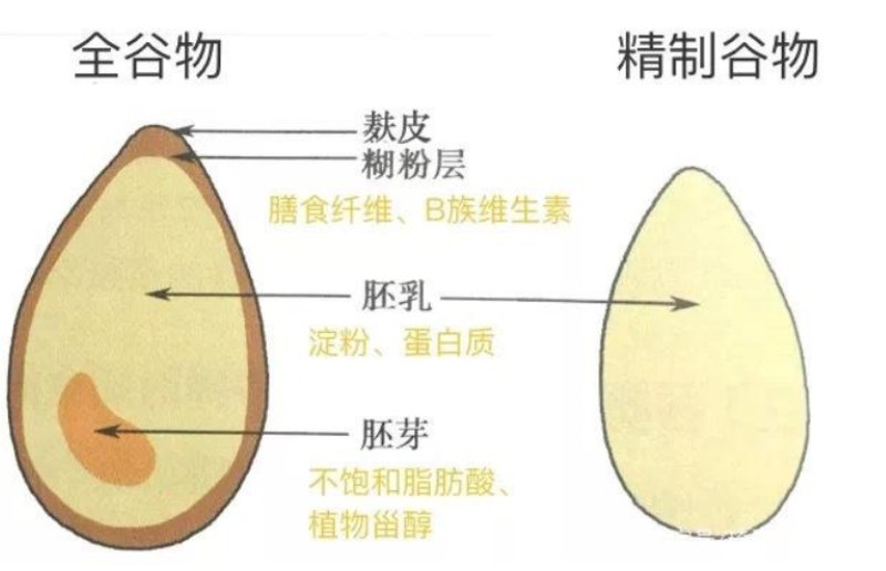 白米是细粮,白米把水稻中最有营养的胚芽和糊粉层去掉了,只剩下胚乳