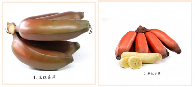 香蕉几月份成熟期最好 香蕉有哪些品种-2