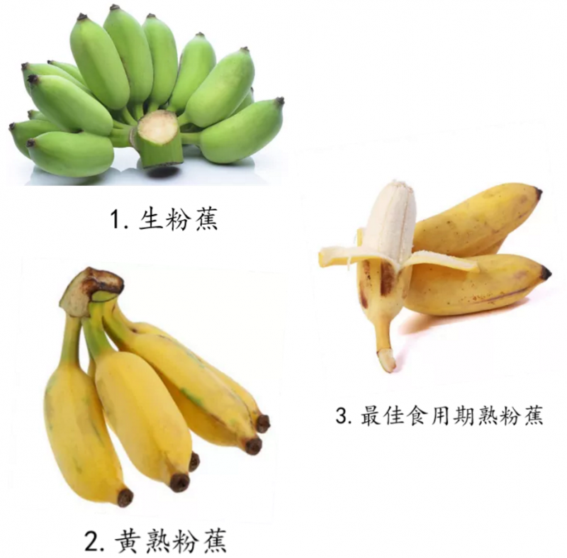 香蕉几月份成熟期最好 香蕉有哪些品种-4