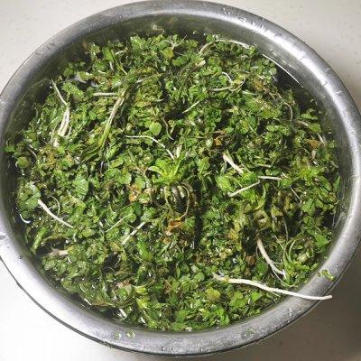 荠菜怎么炒着吃（荠菜炒鸡蛋做法窍门）-2