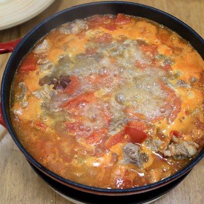 番茄炖牛肉怎么做好吃 西红柿牛肉家常做法-8