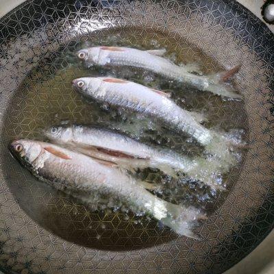 新鲜鲮鱼如何做好吃又简单-4