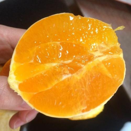 夏橙和伦晚脐橙有什么区别？-1