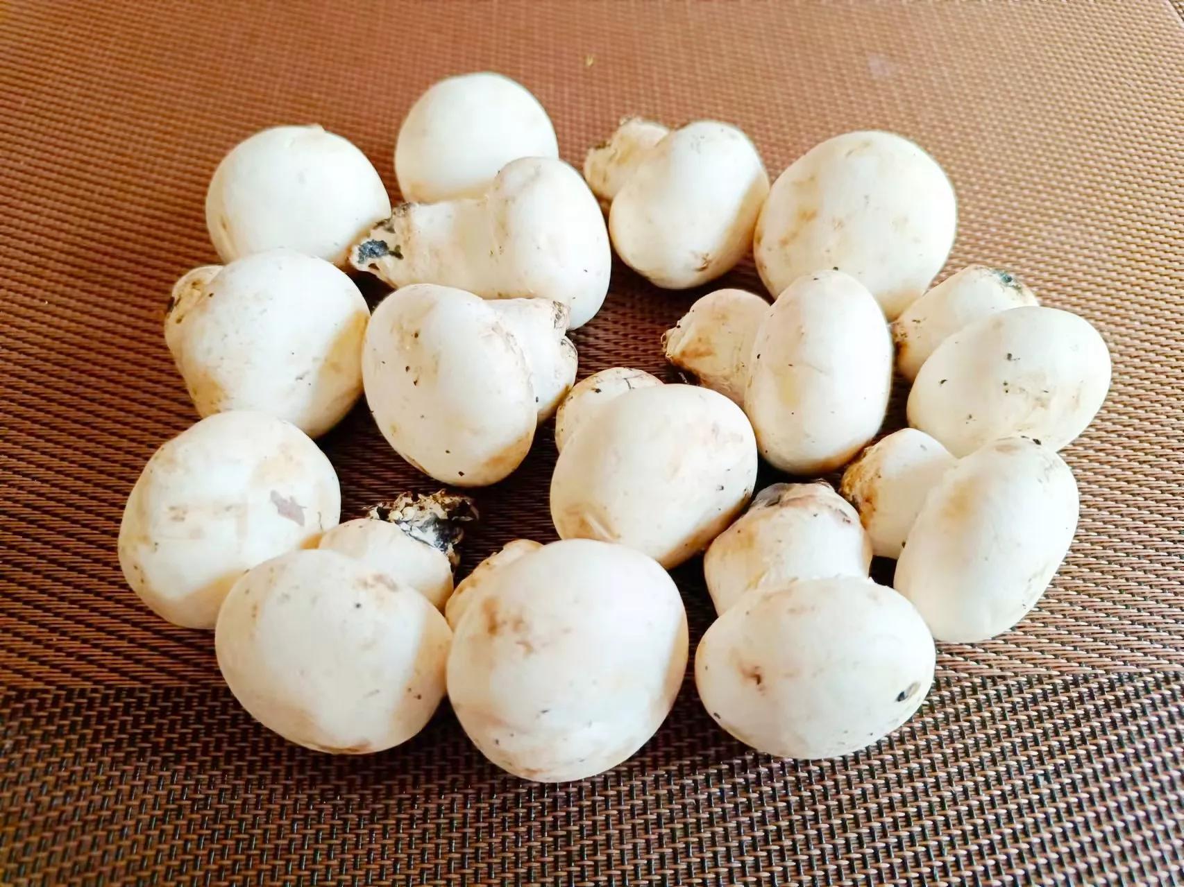 口蘑是什么季节的食物（口蘑炒莴笋的做法）-5
