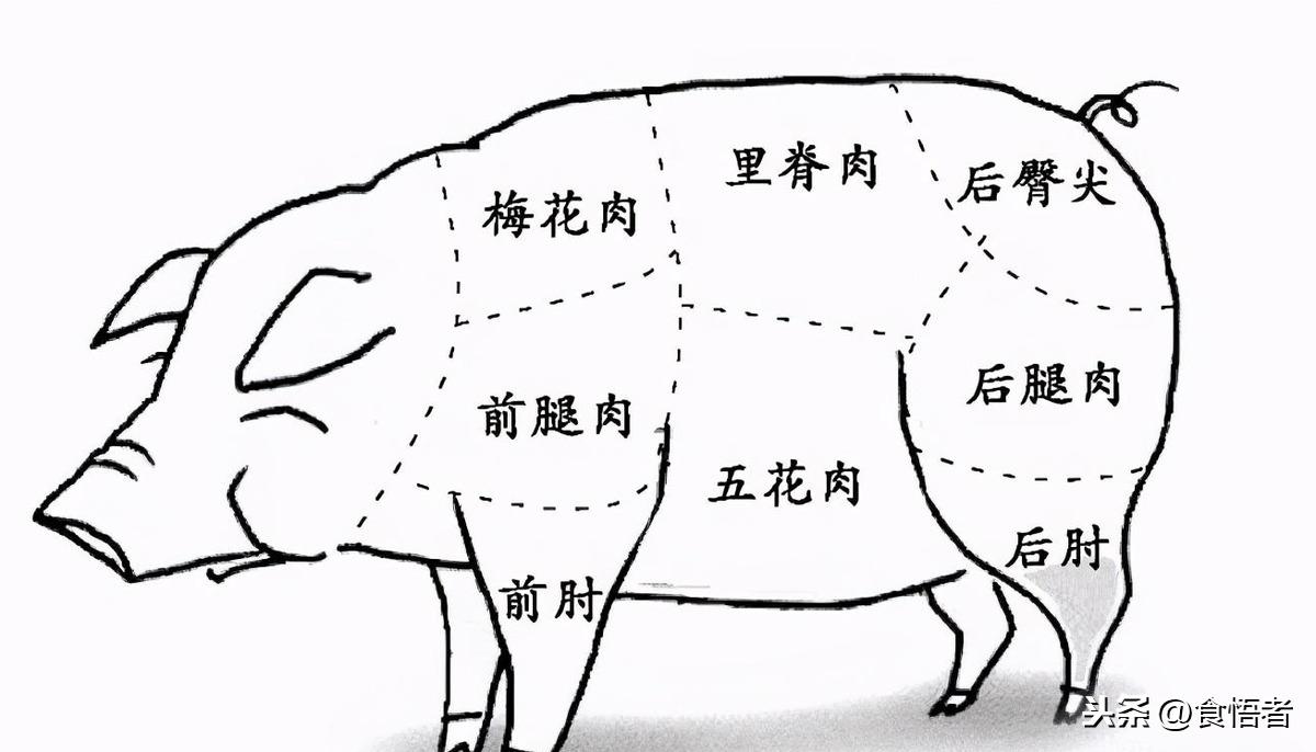 二刀夹子肉是哪个部位（猪肉各部位的吃法）-1