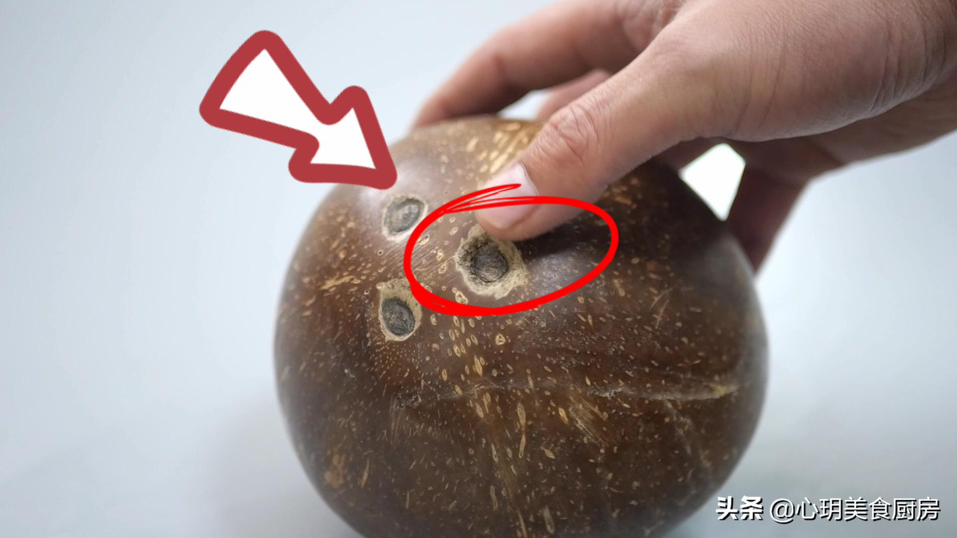 黑椰子怎么打开吃椰肉（硬壳椰子如何打开吃椰肉）-13