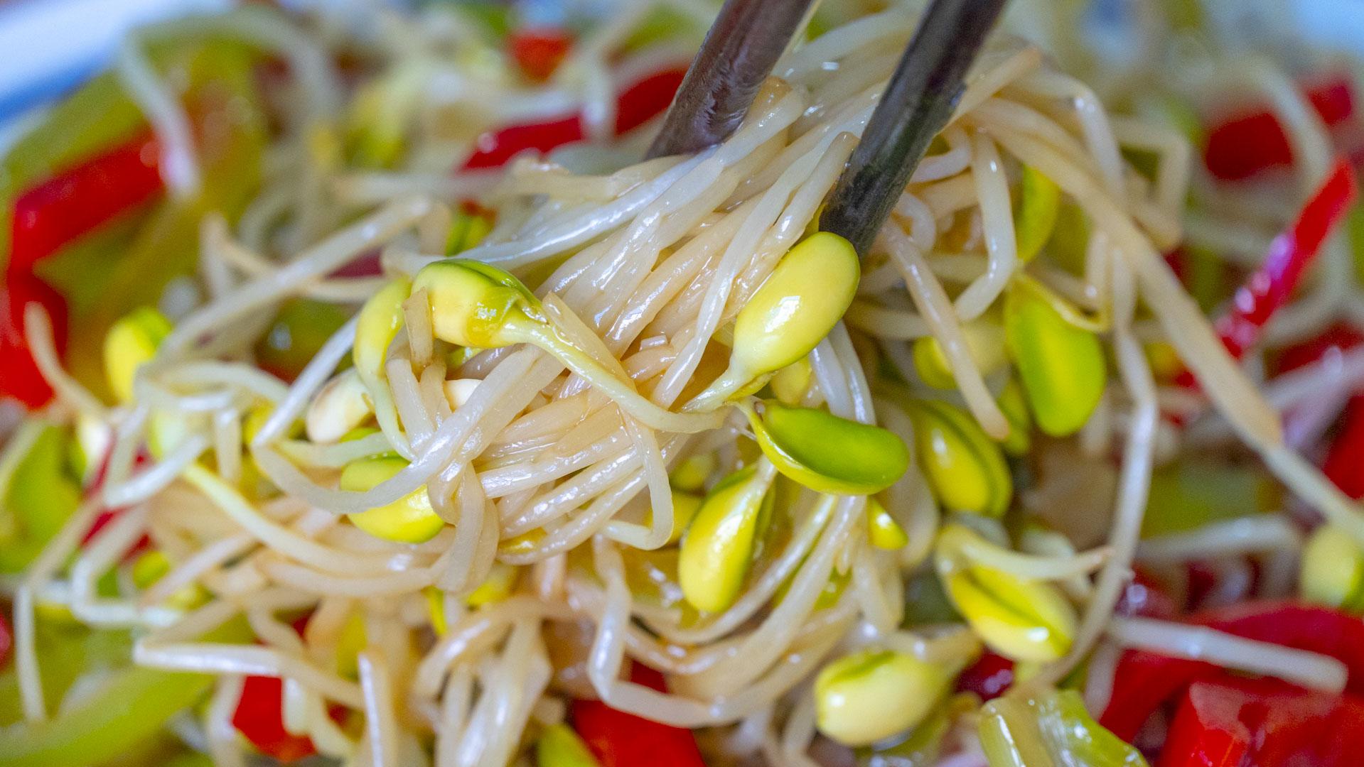 自制黄豆芽不烂最简单的方法 制作豆芽的方法和过程-10