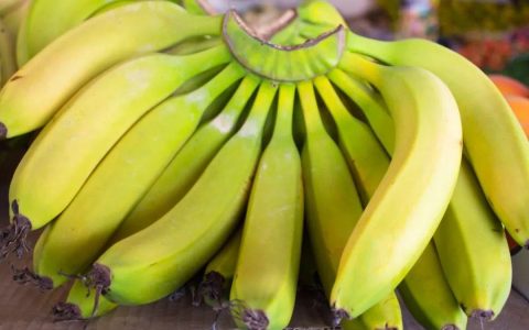 香蕉皮怎么做肥料养花肥料（香蕉皮水不能浇什么花）