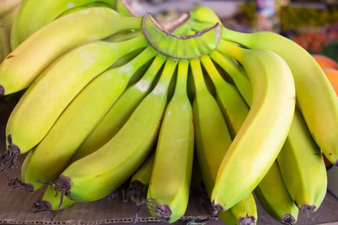 香蕉皮怎么做肥料养花肥料（香蕉皮水不能浇什么花）-1