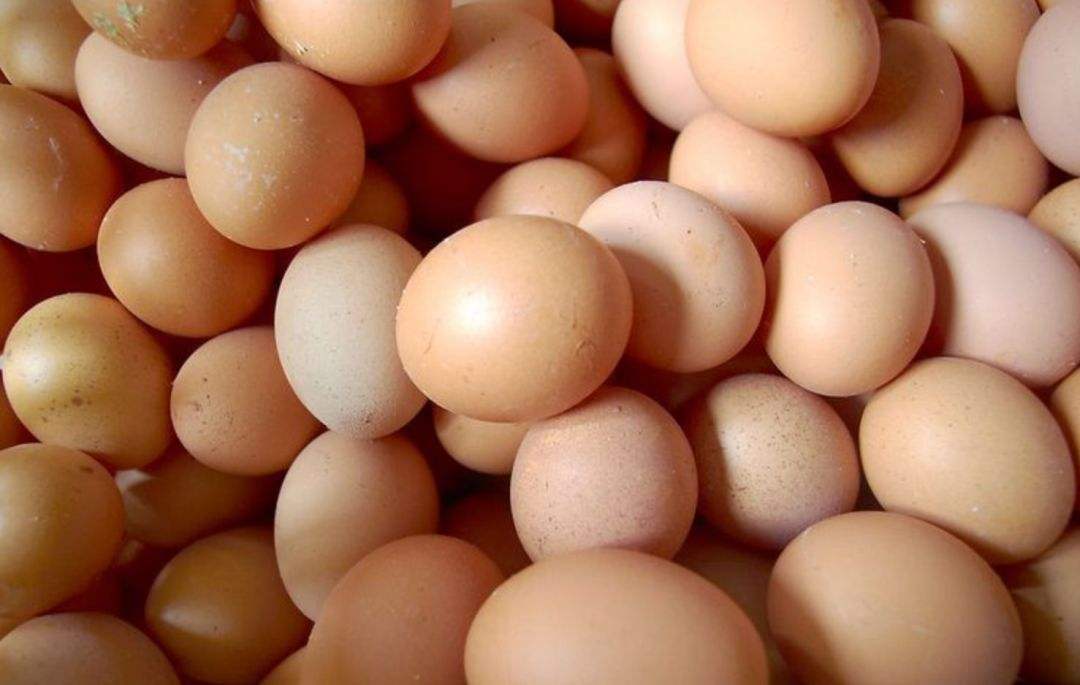 如何辨别真假鸡蛋的方法，市场上真有人造鸡蛋吗-6