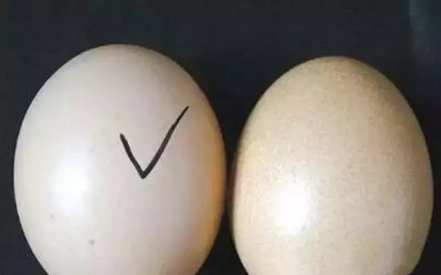 假鸡蛋制作全过程，怎么辨别真假鸡蛋？-3