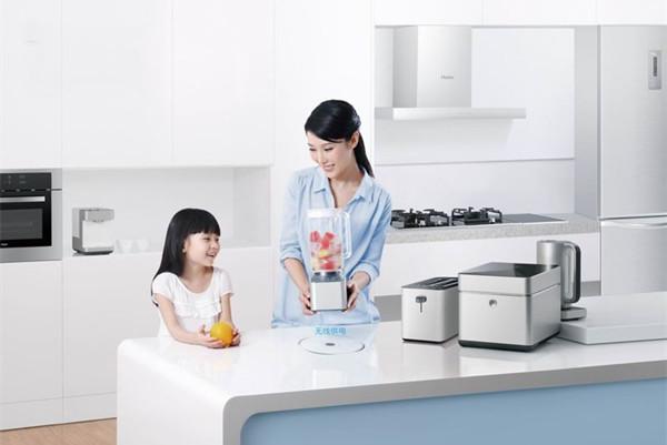 中国十大厨卫电器品牌排行榜 厨房电器选哪种品牌的好-3