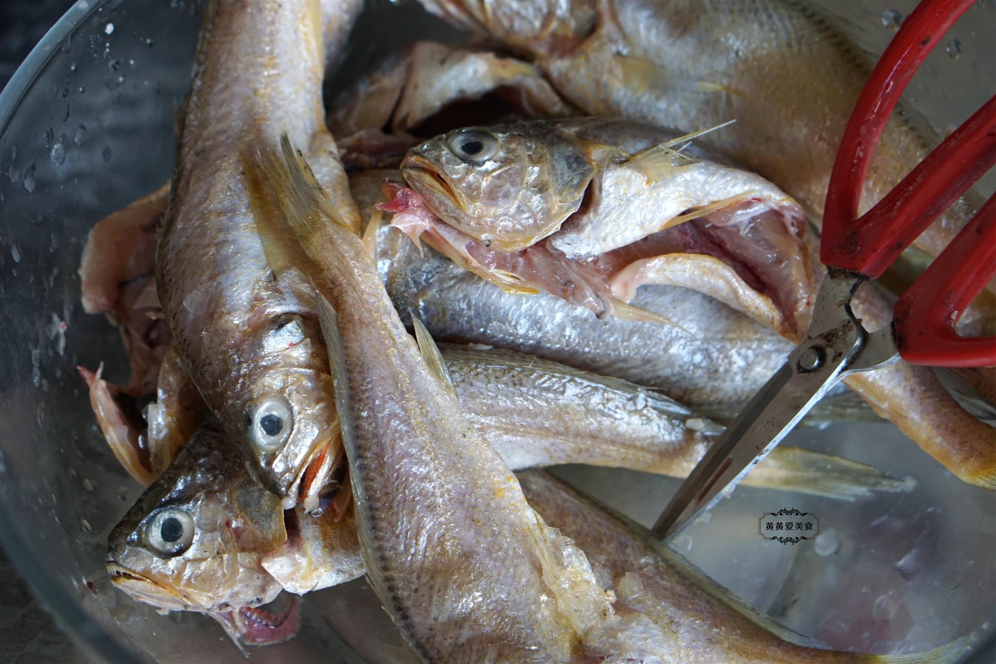 小黄鱼的做法家常做法红烧 红烧黄鱼最正宗的做法窍门-5