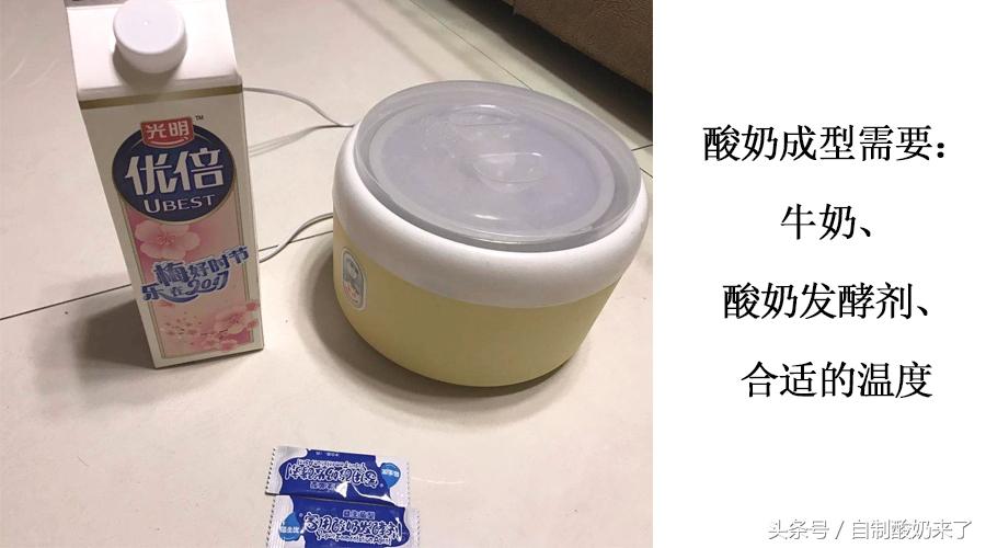 九阳酸奶机做酸奶的制作方法_自制酸奶机的用法-2