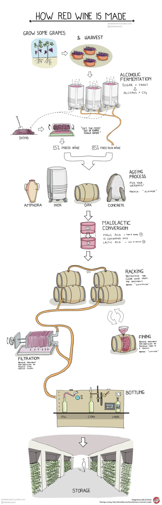 红葡萄酒酿造的基本工艺流程「干货」-1