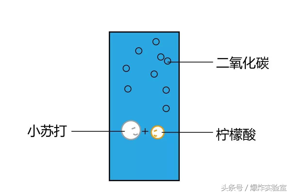 自制汽水的做法（碳酸汽水怎么做）-11