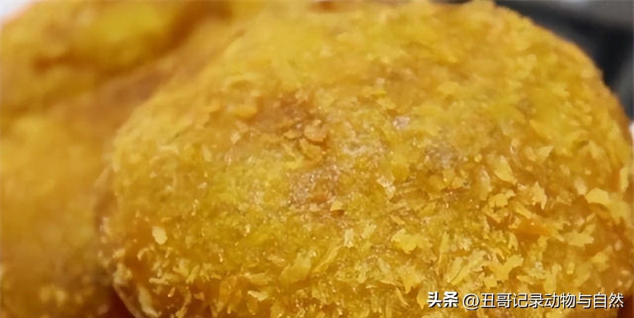 南瓜饼要怎么做才可以 面粉南瓜饼的做法大全-7